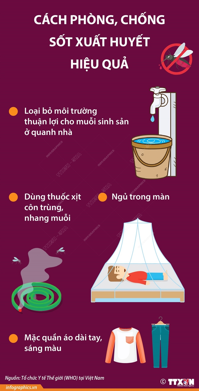 Nhiều ca bệnh sốt xuất huyết nặng, biến chứng nguy hiểm - Ảnh 2.