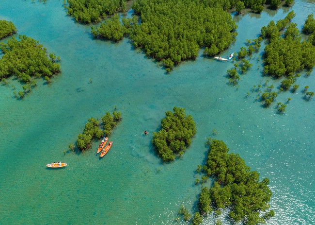 Giữ gìn và tôn tạo “màu xanh” cho du lịch Nha Trang - Ảnh 1.