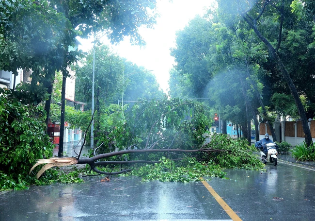 Bão số 3: Chiều 7/9, Đông Bắc Bộ và Thủ đô Hà Nội có gió rất mạnh - Ảnh 1.